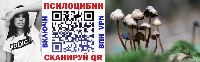Псилоцибиновые грибы Cubensis  хочу наркоту  Шимановск 